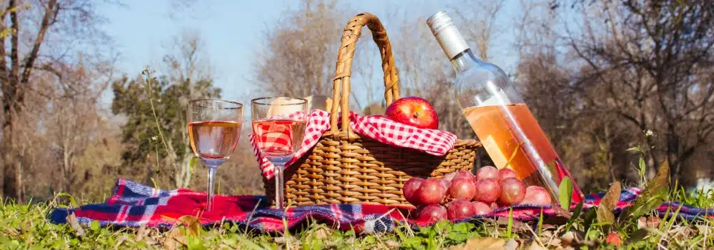 Gezellige picknick samenstellen